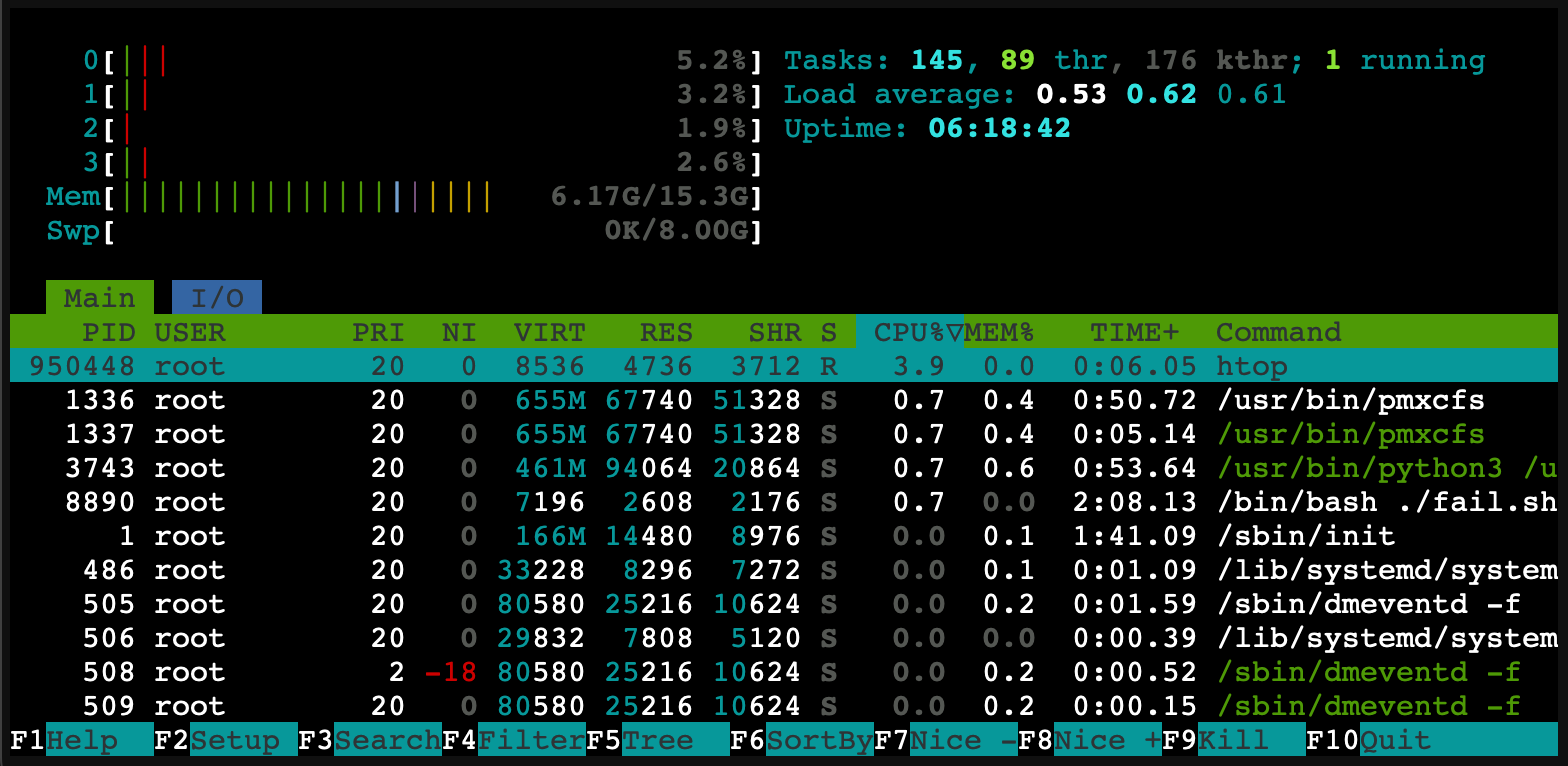 htop Example