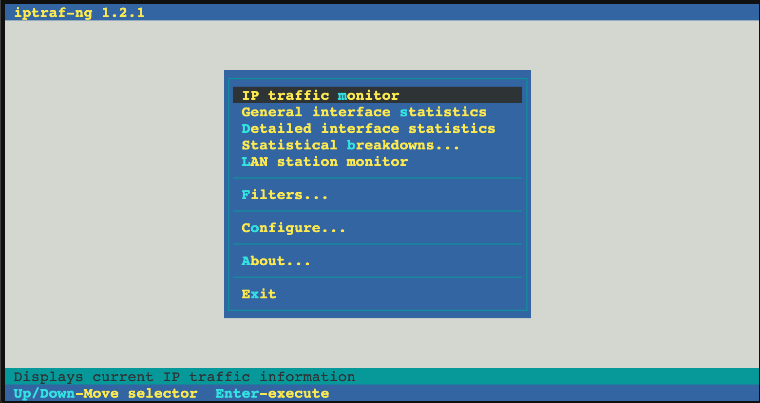 iptraf-ng Example